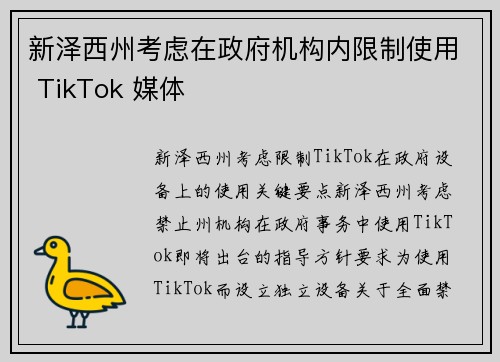 新泽西州考虑在政府机构内限制使用 TikTok 媒体